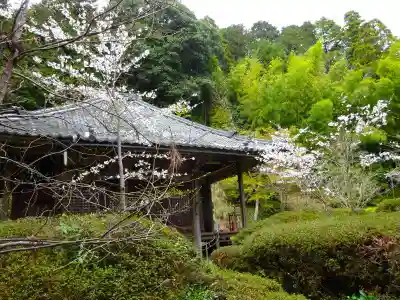 園養寺(滋賀県)
