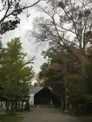 錦山天満宮の建物その他