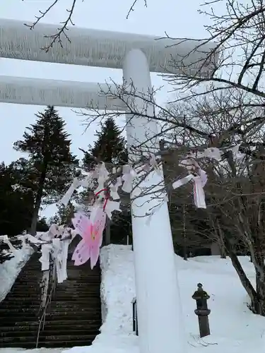 土津神社｜こどもと出世の神さまの鳥居