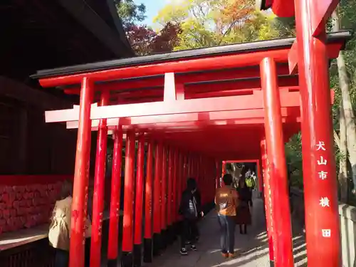 針綱神社の周辺