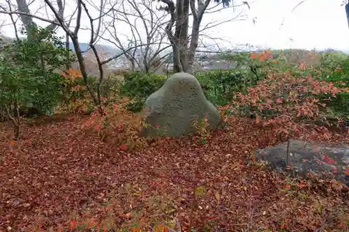常寂光寺の自然
