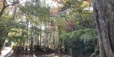 佐牙神社(京都府)