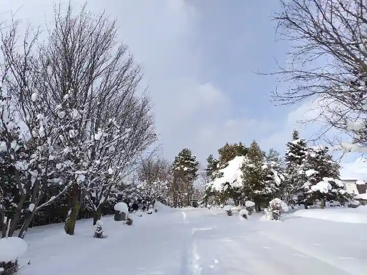 美瑛神社の庭園
