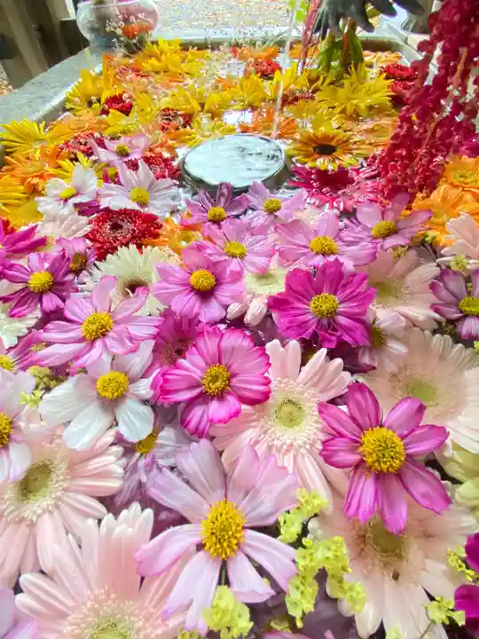札幌諏訪神社の手水舎