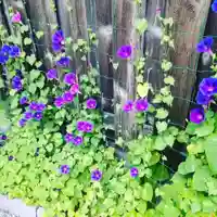 七重浜海津見神社(北海道)