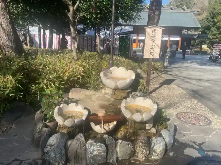 櫻木神社(千葉県)