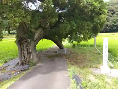 春日神社(福井県)