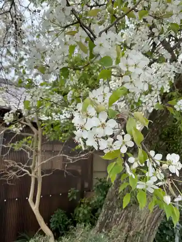 比良賀観音菩薩(愛知県)