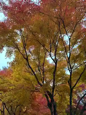 山神社(長野県)