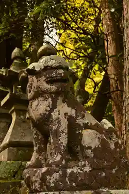 若宮神社(高知県)
