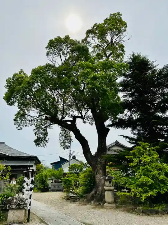菅原天満宮(菅原神社)(奈良県)