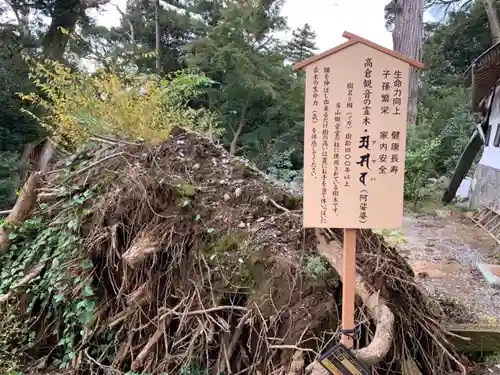 高蔵寺の歴史