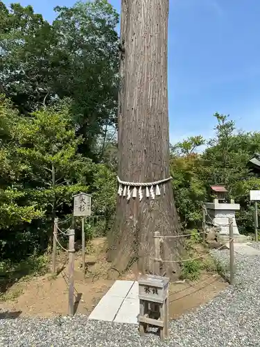 鶴峯八幡宮(千葉県)