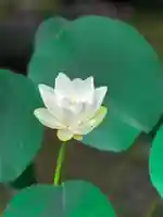 伊勢の国 四天王寺(三重県)