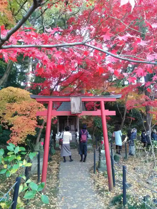 本土寺の鳥居
