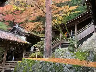 禅林寺（永観堂）(京都府)