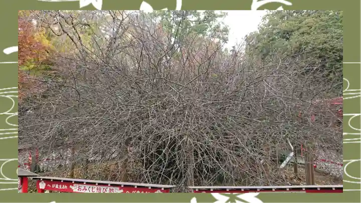 冠稲荷神社(群馬県)