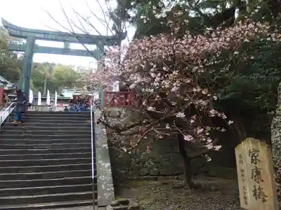 久能山東照宮(静岡県)