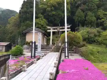 八幡神社(福井県)
