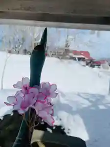 釧路一之宮 厳島神社(北海道)(2026年03月09日(月) 18時42分38秒投稿)