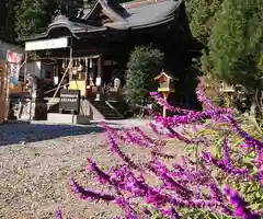 長良神社の本殿