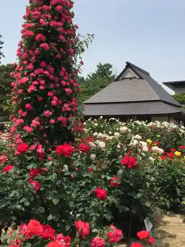 伊勢神宮内宮（皇大神宮）の自然