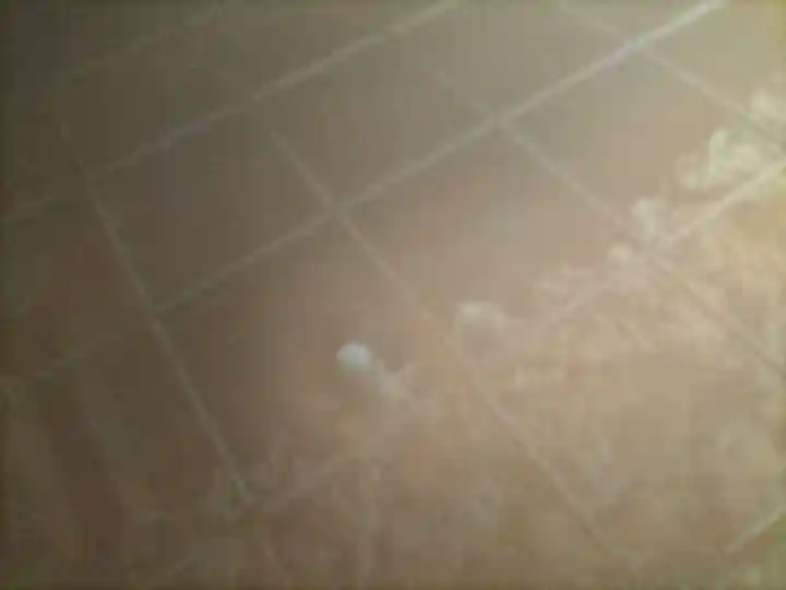 走湯神社(静岡県)