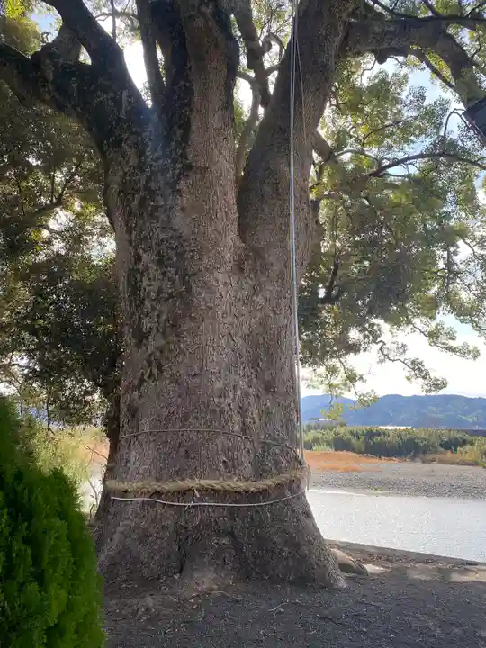 田殿丹生神社(和歌山県)