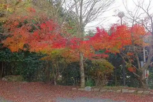 北山別院の自然