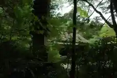 滝口寺の自然