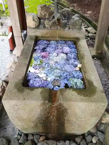 村雲御所瑞龍寺門跡の手水舎