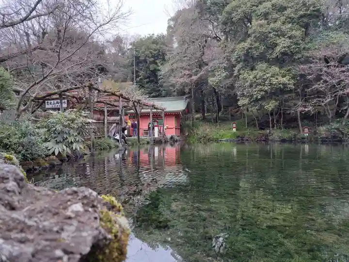 富士山本宮浅間大社(静岡県)