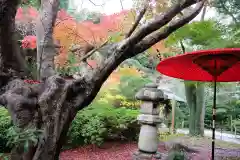 鎌倉宮の庭園