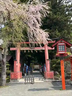 遠野郷八幡宮(岩手県)