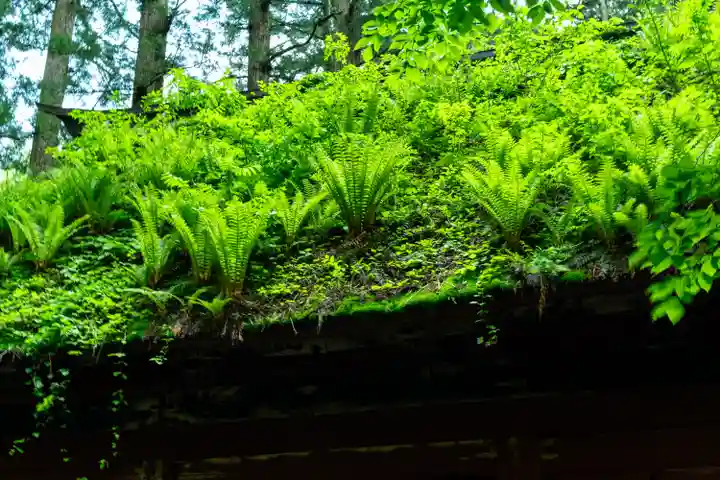 戸隠神社九頭龍社(長野県)