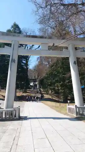 諏訪大社上社前宮の{uncategorized: "未分類", other: "その他", undefined: "問題あり", building: "その他建物", grave: "お墓", sacred_gate: "鳥居", guardian: "狛犬", statue: "像", buddha: "仏像", history: "歴史", nature: "自然", garden: "庭園", animal: "動物", pagoda: "塔", temizu: "手水舎", mountain_gate: "山門・神門", sanctuary: "本殿・本堂", subordinate: "末社・摂社", art: "芸術", scenery: "景色", jizo: "地蔵", ema: "絵馬", goshuin: "御朱印", omikuji: "おみくじ", items: "授与品その他", amulet: "お守り", goshuincho: "御朱印帳", eats: "食事", festival: "お祭り", votive_dance: "神楽", shichigosan: "七五三参", wedding: "結婚式", experience: "体験その他", initially: "初詣", around: "周辺", anti_infection: "感染症対策"}