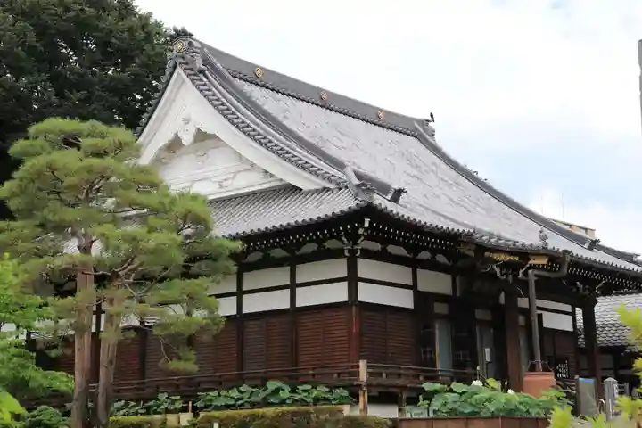 善導寺の本殿・本堂