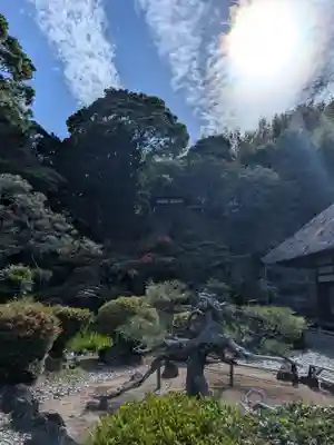 龍華寺(静岡県)