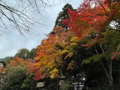 大聖院(広島県)