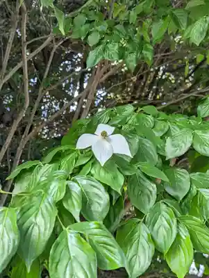  智積院(京都府)