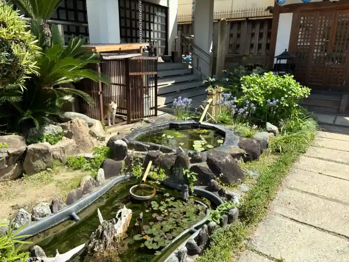 大善寺の{uncategorized: "未分類", other: "その他", undefined: "問題あり", building: "その他建物", grave: "お墓", sacred_gate: "鳥居", guardian: "狛犬", statue: "像", buddha: "仏像", history: "歴史", nature: "自然", garden: "庭園", animal: "動物", pagoda: "塔", temizu: "手水舎", mountain_gate: "山門・神門", sanctuary: "本殿・本堂", subordinate: "末社・摂社", art: "芸術", scenery: "景色", jizo: "地蔵", ema: "絵馬", goshuin: "御朱印", omikuji: "おみくじ", items: "授与品その他", amulet: "お守り", goshuincho: "御朱印帳", eats: "食事", festival: "お祭り", votive_dance: "神楽", shichigosan: "七五三参", wedding: "結婚式", experience: "体験その他", initially: "初詣", around: "周辺", anti_infection: "感染症対策"}