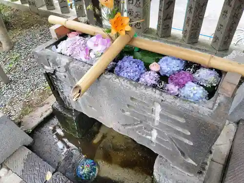 元町厳島神社の手水