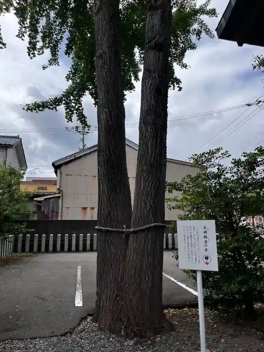 杉杜白髭神社(福井県)