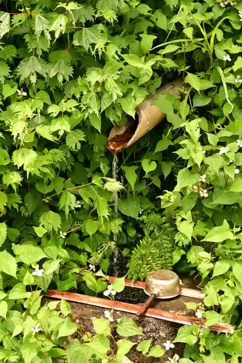 白山神社(長滝神社・白山長瀧神社・長滝白山神社)(岐阜県)