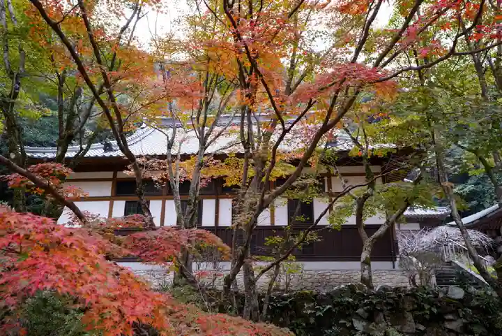大寧寺(山口県)