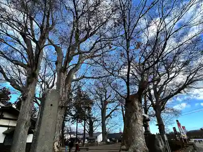 白鳥神社(長野県)
