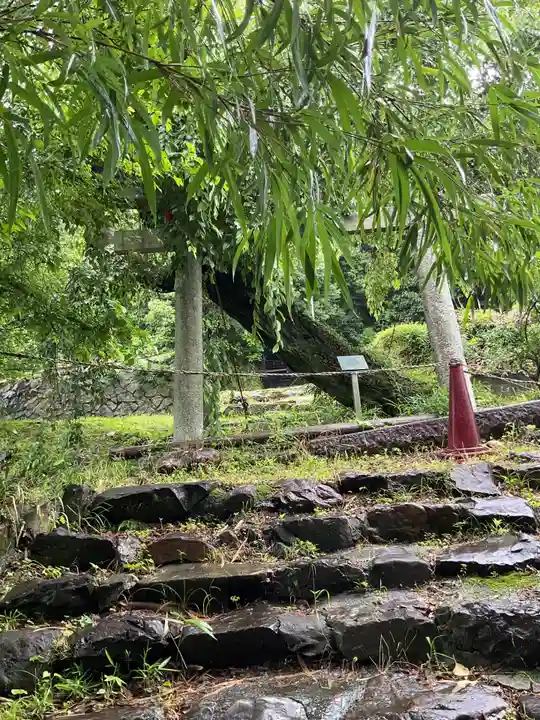 熊野神社の鳥居