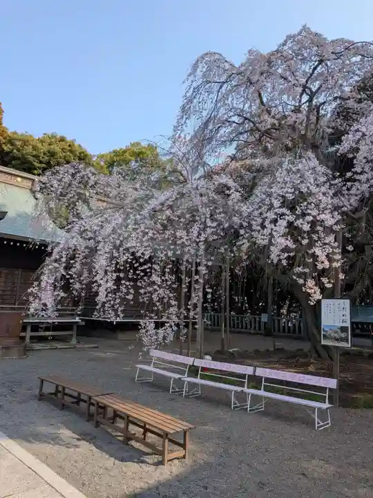 常陸第三宮 吉田神社(茨城県)