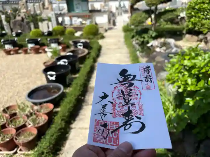大善寺の御朱印