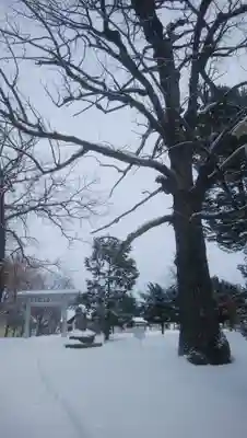 女満別神社のその他建物